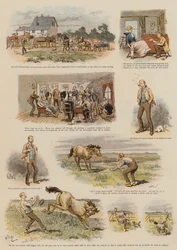 Schönheit im fernen Nordwesten (Chromolithographie)
